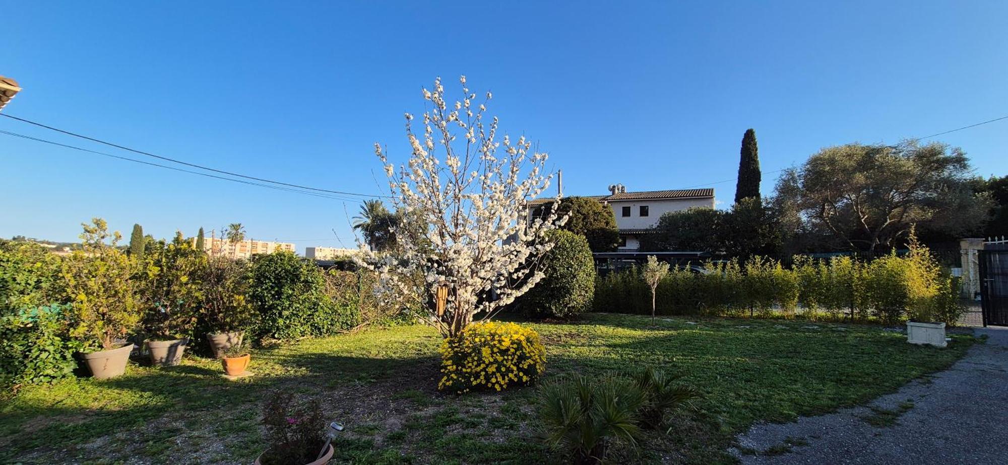 Studio Independant Avec Terrasse A Juan Les Pins Antibes Eksteriør billede